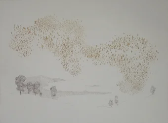 Sonnenvögel